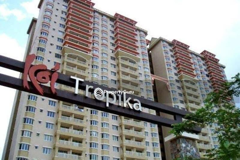 Untuk Disewa - Koi Tropika