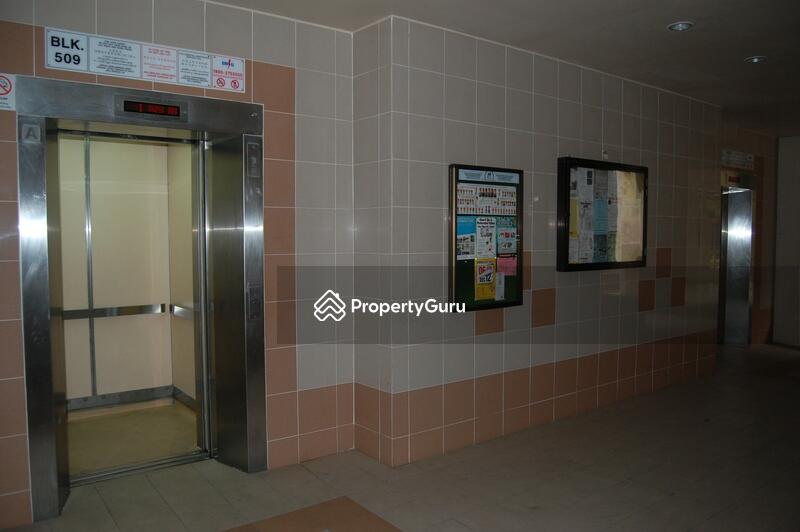 For Rent - 509 Pasir Ris Street 52