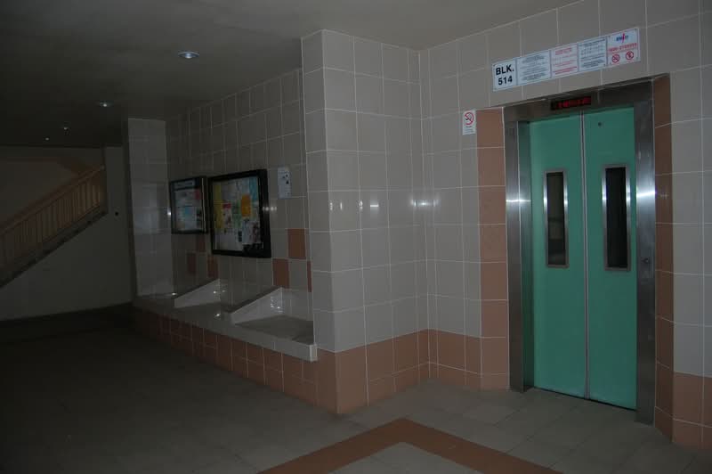 514 Pasir Ris Street 52