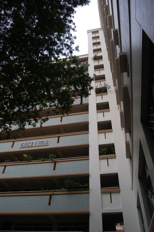 514 Pasir Ris Street 52