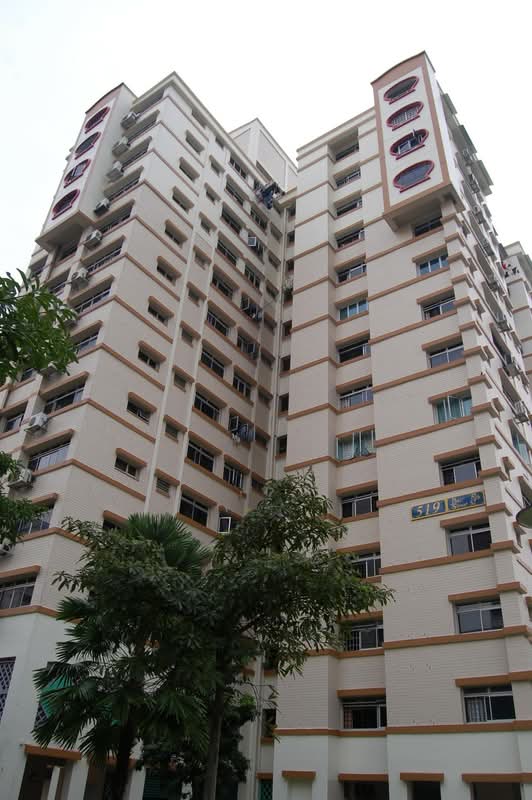 519 Pasir Ris Street 52