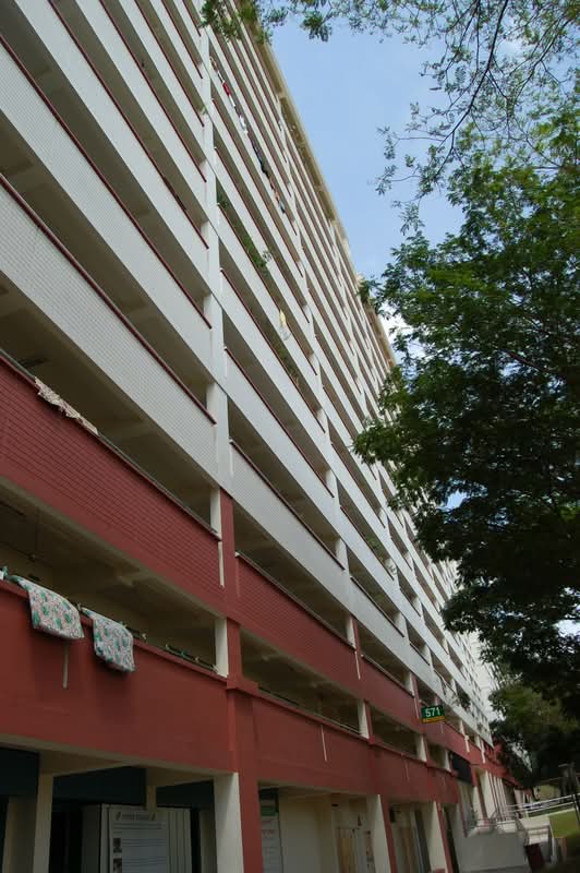 571 Pasir Ris Street 53