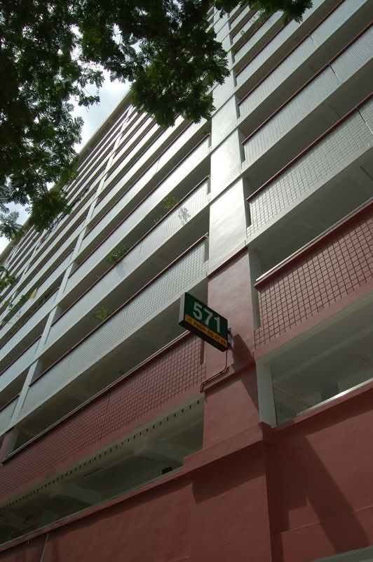 571 Pasir Ris Street 53