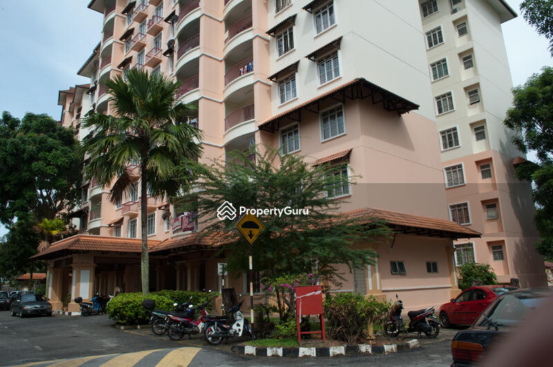 P1 Apartment #0