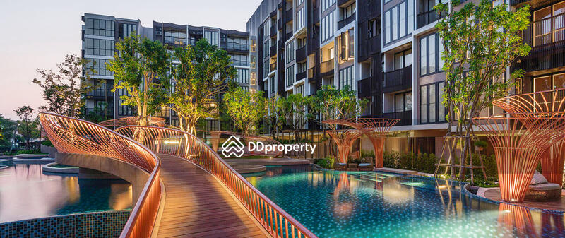 ขาย - Kawa Haus : คาวะ เฮาส์, กรุงเทพ