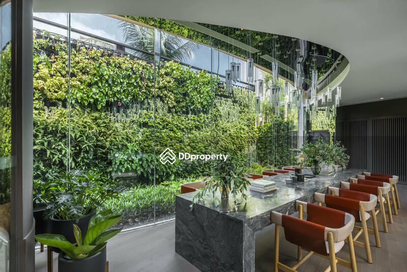 ขาย - Kawa Haus : คาวะ เฮาส์, กรุงเทพ