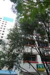 761 Pasir Ris Street 71 #0