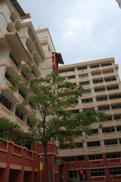 722 Pasir Ris Street 72, 722 Pasir Ris Street 72, Room Rental, 150 sqft, HDB Flat For Rent, by Eleanor Lin, 500139999 - PropertyGuru.com.sg