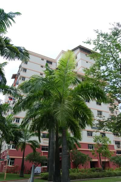 722 Pasir Ris Street 72, 722 Pasir Ris Street 72, Room Rental, 150 sqft, HDB Flat For Rent, by Eleanor Lin, 500139999 - PropertyGuru.com.sg