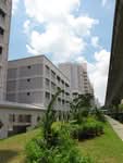 119 Pending Road #0