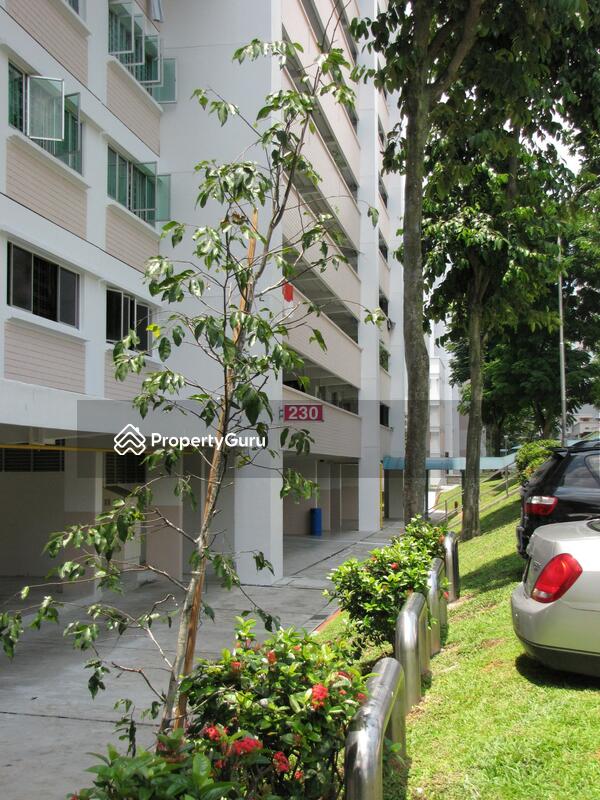 230 Pending Road #0