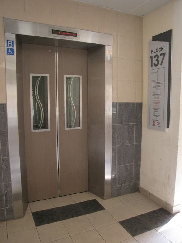 137 Petir Road