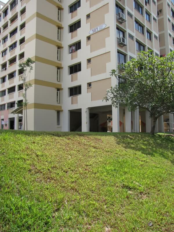 141 Petir Road