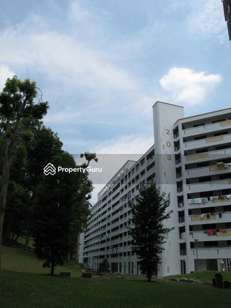 For Rent - 203 Petir Road