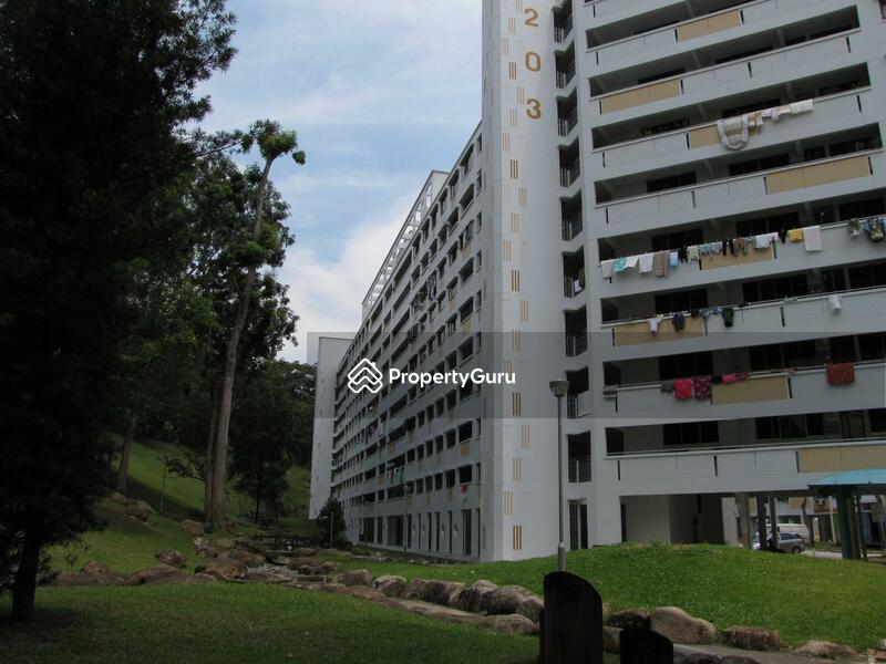 For Rent - 203 Petir Road