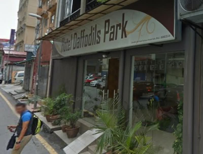 The Daffodils Park #0