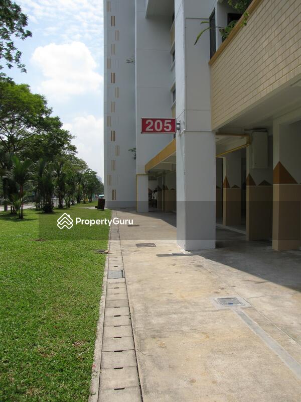 205 Petir Road #0