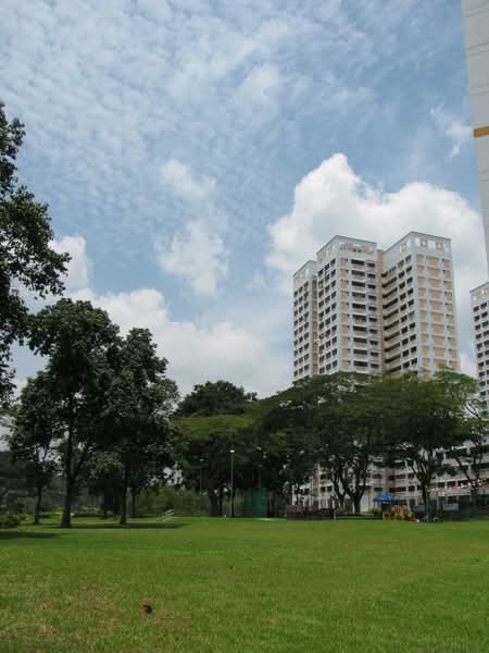 211 Petir Road, 211 Petir Road, Dairy Farm / Bukit Panjang / Choa Chu Kang, 4 Bedrooms, 1,313 sqft, HDB Flat For Sale, by Wilson Neo, 500228154 - PropertyGuru.com.sg