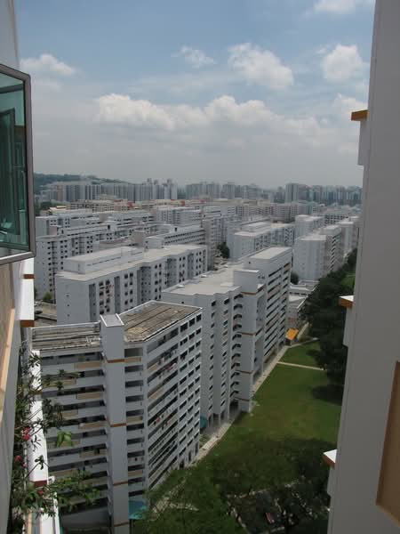 211 Petir Road, 211 Petir Road, Dairy Farm / Bukit Panjang / Choa Chu Kang, 4 Bedrooms, 1,313 sqft, HDB Flat For Sale, by Wilson Neo, 500228154 - PropertyGuru.com.sg