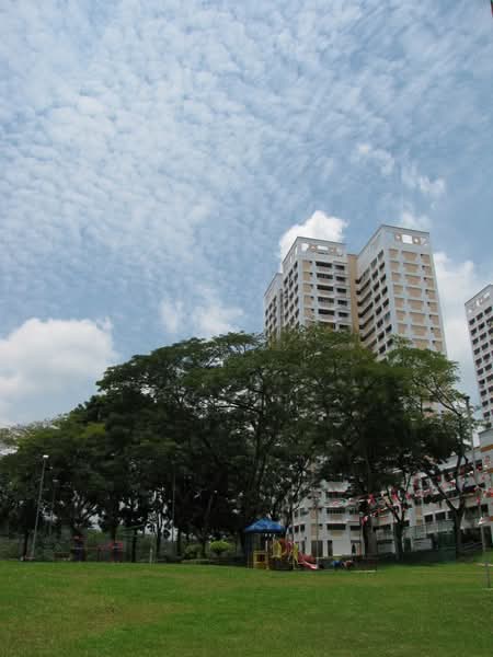 211 Petir Road, 211 Petir Road, Dairy Farm / Bukit Panjang / Choa Chu Kang, 4 Bedrooms, 1,313 sqft, HDB Flat For Sale, by Wilson Neo, 500228154 - PropertyGuru.com.sg