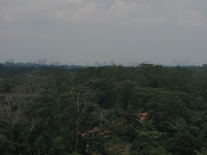 211 Petir Road, 211 Petir Road, Dairy Farm / Bukit Panjang / Choa Chu Kang, 4 Bedrooms, 1,313 sqft, HDB Flat For Sale, by Wilson Neo, 500228154 - PropertyGuru.com.sg