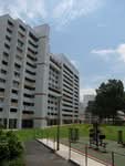 212 Petir Road #0