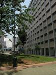 218 Petir Road #0