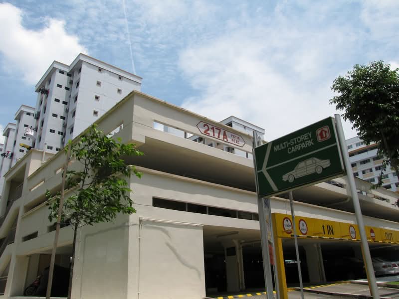 217A Petir Road #0