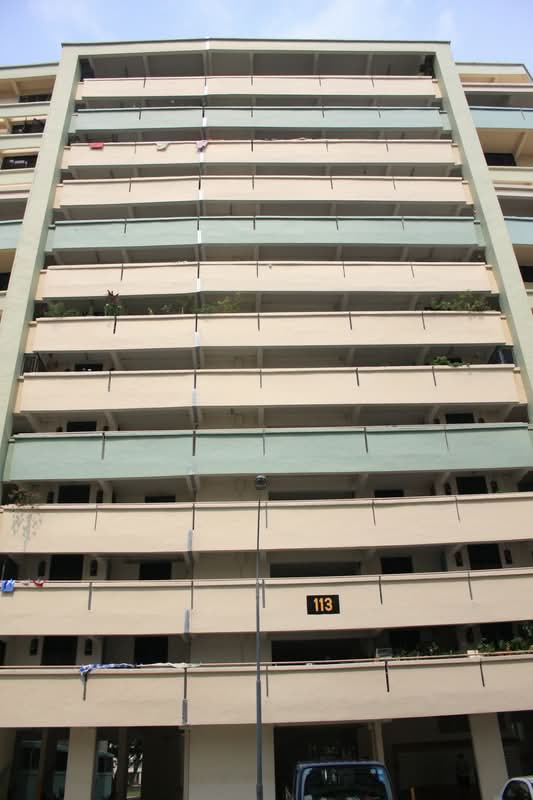 113 Potong Pasir Avenue 1