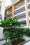 638 Punggol Drive #0