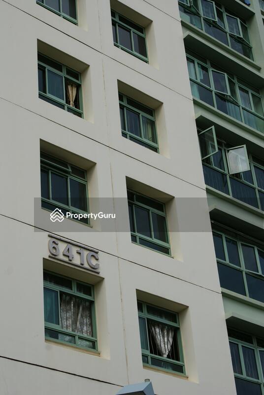 641C Punggol Drive #0