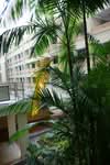 107 Punggol Field #0