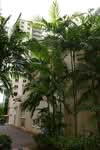 175 Punggol Field #0