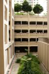 175 Punggol Field #0
