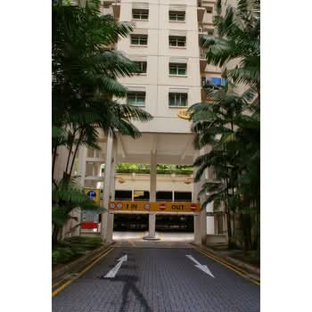 199 Punggol Field