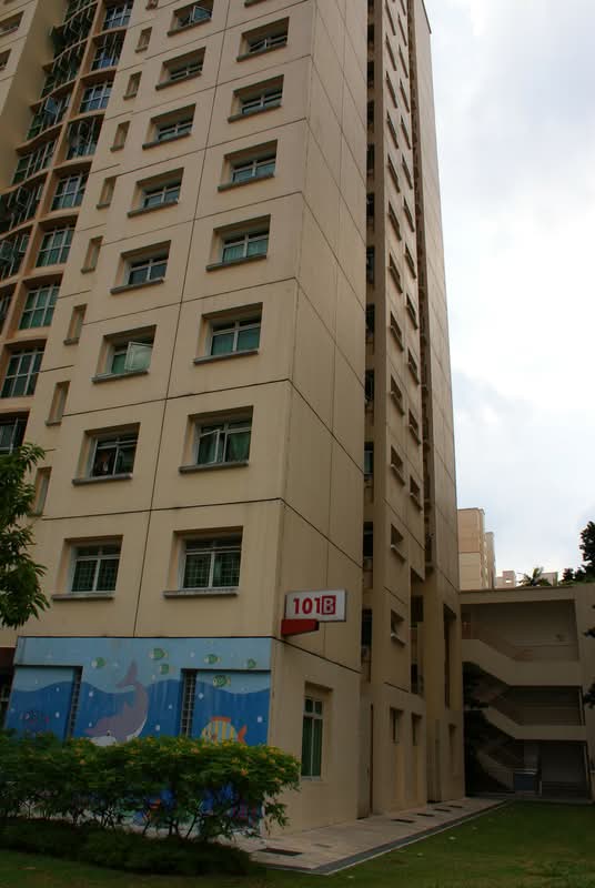 101B Punggol Field