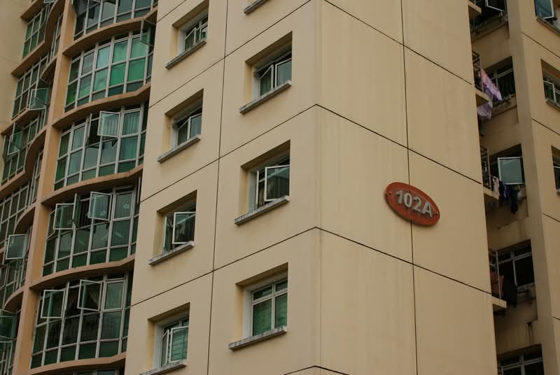 102A Punggol Field