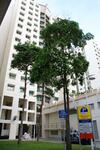 106A Punggol Field #0