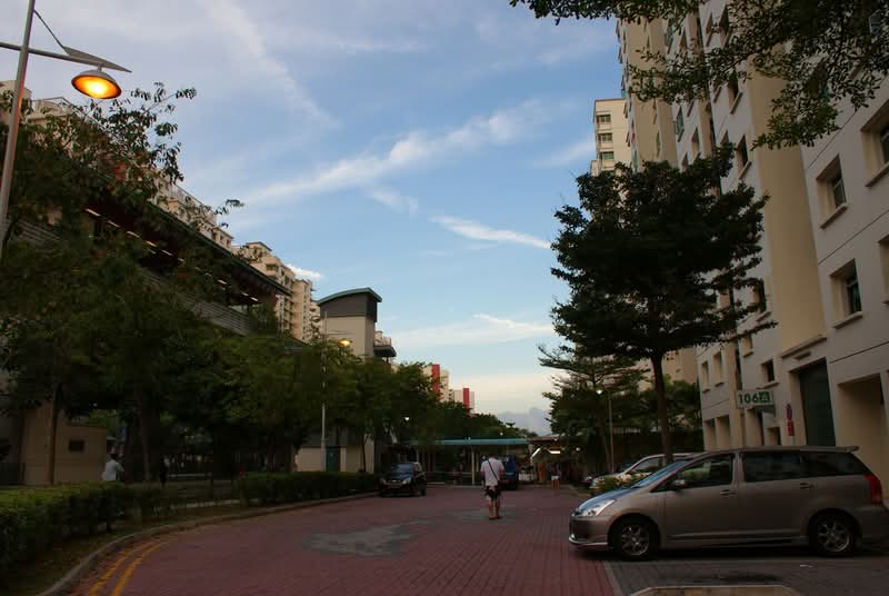106A Punggol Field
