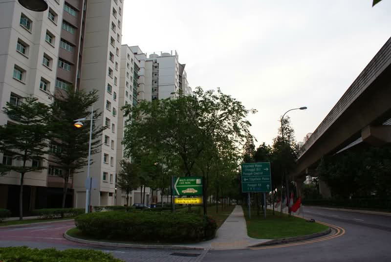 106B Punggol Field