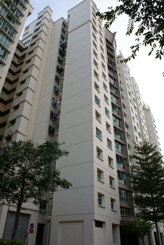 106C Punggol Field