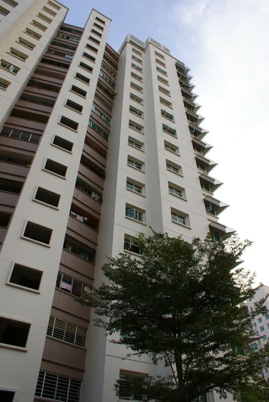 106D Punggol Field