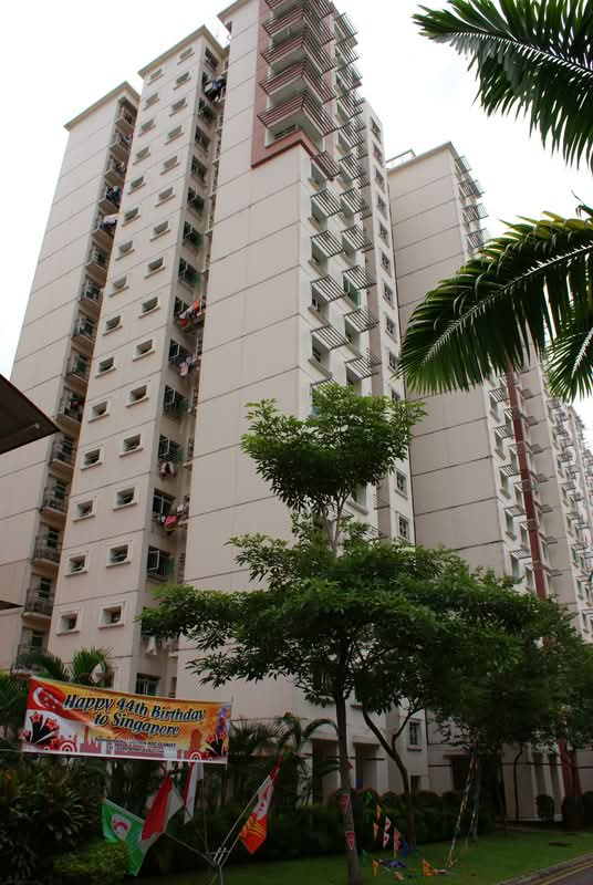 173A Punggol Field