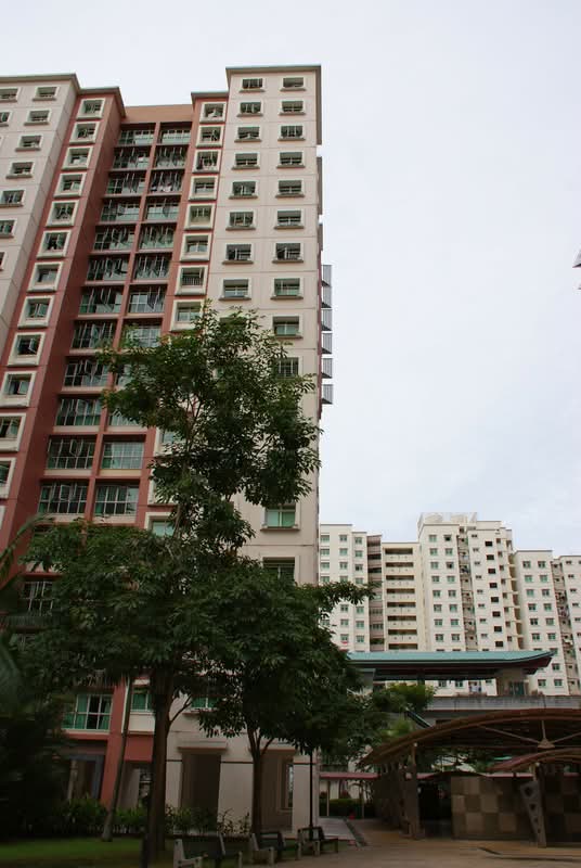173A Punggol Field