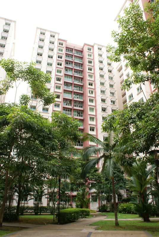 173A Punggol Field