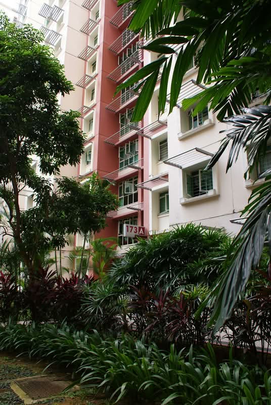 173A Punggol Field