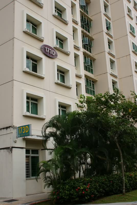 173D Punggol Field