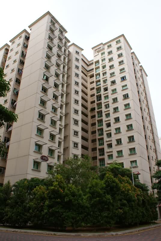173D Punggol Field