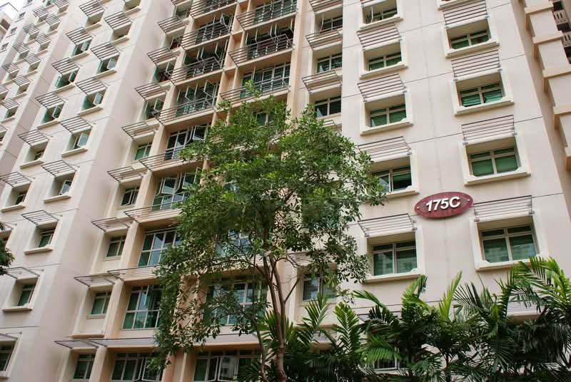 175C Punggol Field