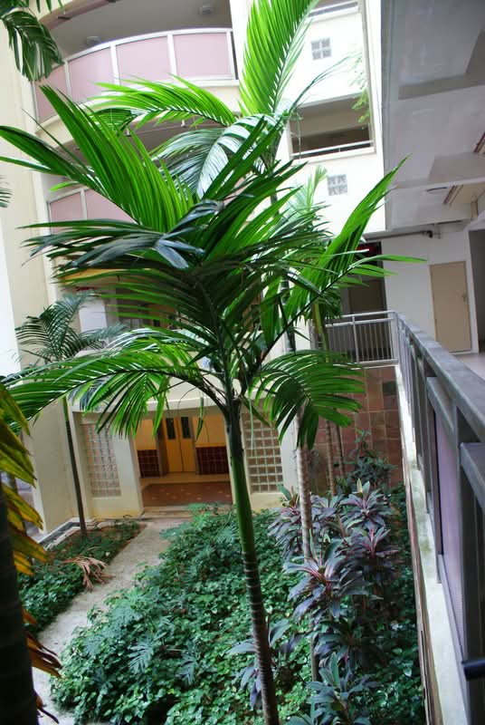 199A Punggol Field